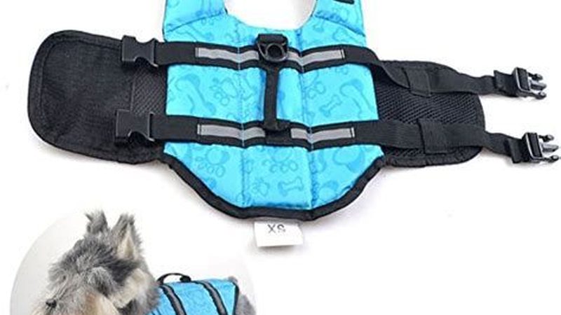小型保鲜冷库施工方法：关键步骤与注意事项